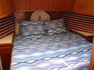 seahorse 35 cabin bed