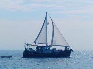 Diesel Duck 462 sailing open water